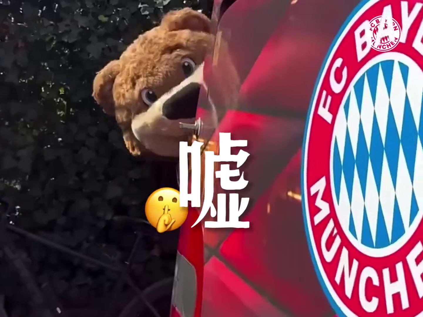 战阿森纳赛前拜仁中文官方视频到底该不该停止这种想法